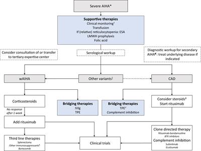 Severe autoimmune hemolytic anemia; epidemiology, clinical management, outcomes and knowledge gaps